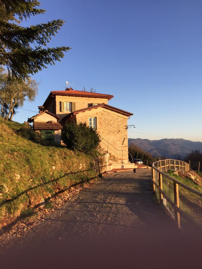 Alle Vignole Bed & Breakfast Coreglia Antelminelli ภายนอก รูปภาพ
