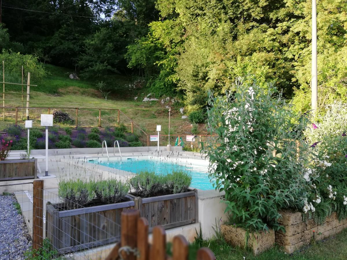 Alle Vignole Bed & Breakfast Coreglia Antelminelli ภายนอก รูปภาพ